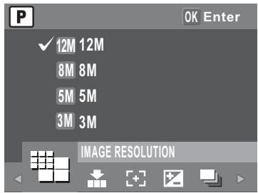 SANYO VPC-S1275 - The Capture Menu - 2