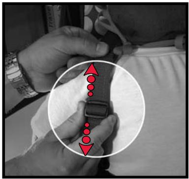 BRITAX BLINK - Harness Adjustment &amp; Securing Child - 1