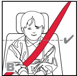 BRITAX PARKWAY SG - WARNING! - 2