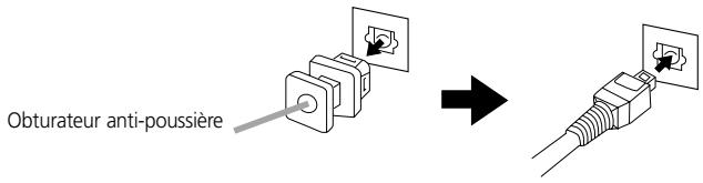 NAD L56 - JACK De SORTIE AUDIO numerique optique [optical digital AUDIO OUT] - 1