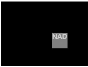 NAD S570 - SKIPPING BACK - 1