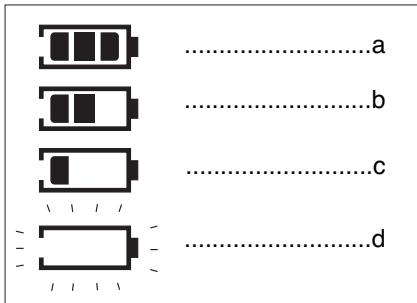 SAMSUNG DVD-L300 - Battery level display - 1