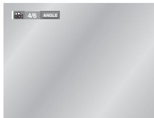 SAMSUNG DVD-L300 - Using the ANGLE button - 1