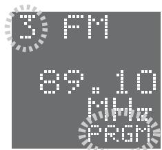 SAMSUNG HT-DS1000 - Example: Presetting FM 89.1 in the memory - 4