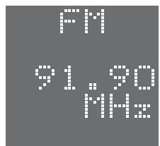 SAMSUNG HT-DS1000 - Example: Presetting FM 89.1 in the memory - 1