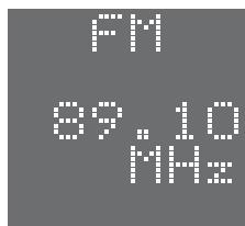 SAMSUNG HT-DS1000 - Example: Presetting FM 89.1 in the memory - 5