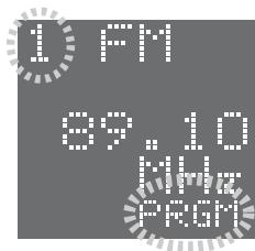 SAMSUNG HT-DS1000 - Example: Presetting FM 89.1 in the memory - 3