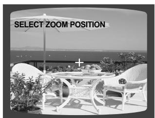 SAMSUNG HT-DS1000 - Zoom (Screen Enlarge) Function - 1