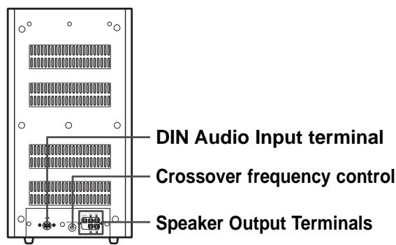 SAMSUNG HT-DS1000 - PSWS1100T (subwoofer of ht-ds1100) - 1