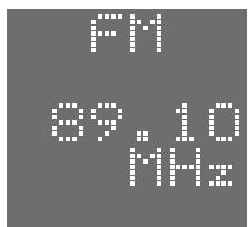 SAMSUNG HT-DS1000 - Example: Presetting FM 89.1 in the memory - 2
