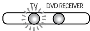 SAMSUNG HT-DS1000 - Before Using Your DVD Player - 1