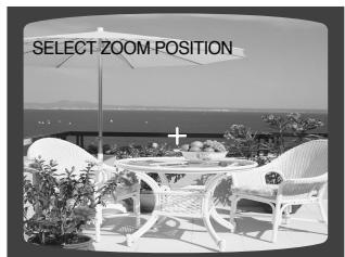 SAMSUNG HT-DS630T - Zoom (Screen Enlarge) Function - 1