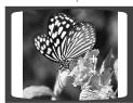 SAMSUNG HT-DS630T - Rotate/Flip Function - 3