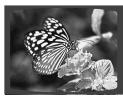 SAMSUNG HT-DS630T - Rotate/Flip Function - 6
