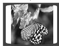 SAMSUNG HT-DS630T - Rotate/Flip Function - 5