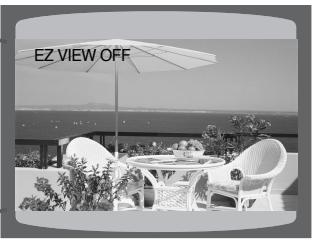 SAMSUNG HT-DS630T - Press EZ VIEW button. - 2