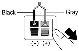 SAMSUNG HT-DS650 - Back of the Speakers - 2