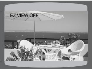 SAMSUNG HT-DS650 - Press EZ VIEW button. - 2
