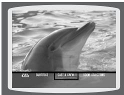 SAMSUNG HT-P1200 - Using Disc Menu - 8