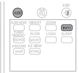 SAMSUNG HT-X200T - Audio Language Selection Function - 2
