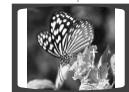 SAMSUNG HT-X200T - Rotate/Flip Function - 5