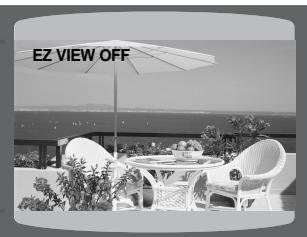 SAMSUNG HTQ40T-XAC - EZ VIEW Function - 2
