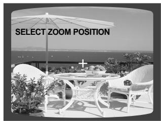 SAMSUNG HTQ40T-XAC - Zoom (Screen Enlarge) Function - 1
