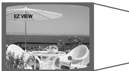 SAMSUNG HTQ40T-XAC - EZ VIEW Function - 1