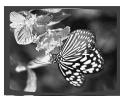 SAMSUNG HTQ40T-XAC - Rotate/Flip Function - 2