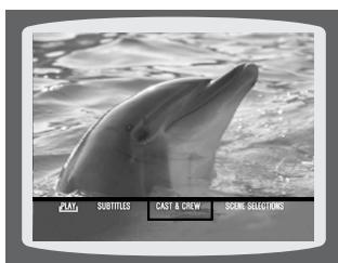SAMSUNG HTQ40T-XAC - Using Disc Menu - 3