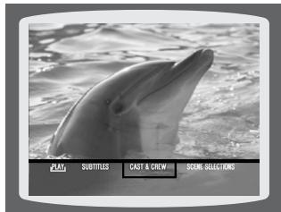 SAMSUNG HTQ45T-XAC - Using Disc Menu - 3