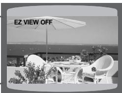 SAMSUNG HTTQ85T-XAC - EZ VIEW Function - 2