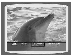 SAMSUNG HTTQ85T-XAC - Using Disc Menu - 3