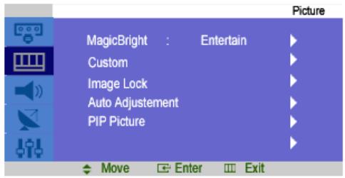 Picture MagicBright : Entertain Custom Image Lock Auto Adjustment PIP Picture Move Enter Exit