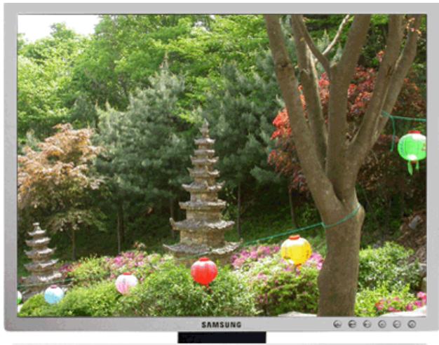 SAMSUNG SYNCMASTER 204B - Brightness - 11