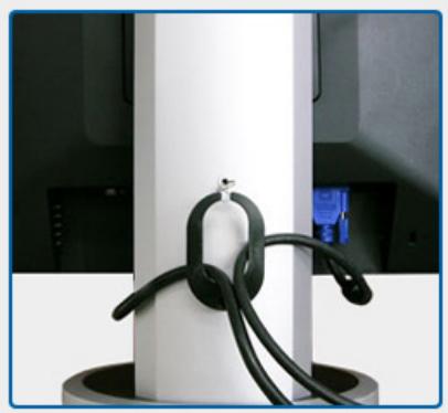 SAMSUNG SYNCMASTER 204B - Cable Fix Ring - 1