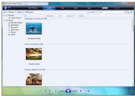 SAMSUNG SPF-105V - Adding Photos to the Library - 1