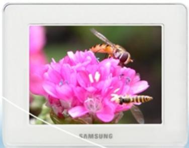 SAMSUNG SPF-83H - Updating - 2