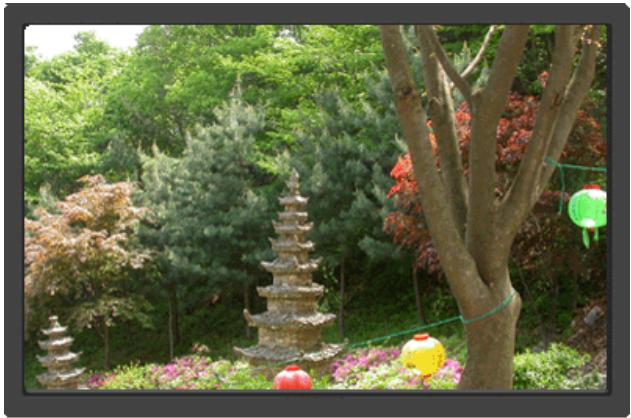 SAMSUNG SYNCMASTER 923NW - Locked - 1