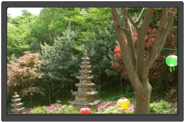 SAMSUNG SYNCMASTER 923NW - Image - 8