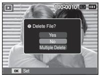 100-0010 Delete File? Yes No Multiple Delete OK Set
