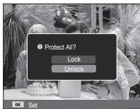 Protect All? Lock Unlock