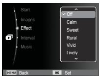 SAMSUNG PL57 - Configure Multi Slide show effects - 1