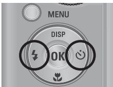 SAMSUNG PL57 - Playing back a still image - 3