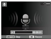 SAMSUNG PL57 - Voice Recording - 3
