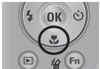 SAMSUNG PL57 - Movie clip capture function - 2