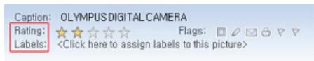 SAMSUNG SPF-85V - Setting up Rating and Tags (VISTA:Tags, XP:Labels) on a PC - 4