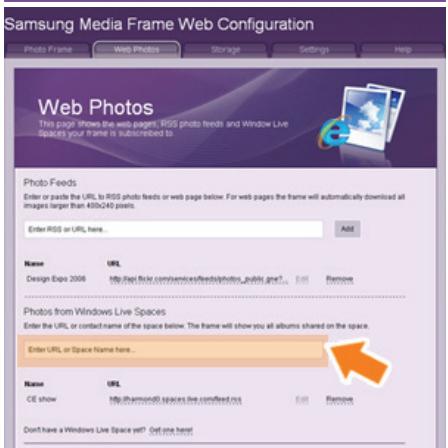 SAMSUNG SPF-85V - Setting up the Web Configuration - 3