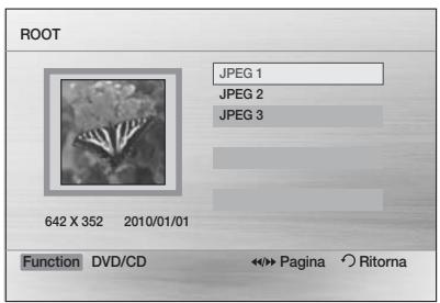 ROOT JPEG 1 JPEG 2 JPEG 3 642 X 352 2010/01/01 Function DVD/CD ↔→ Page Ritorna