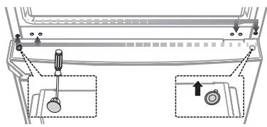 SAMSUNG RL-56 - REVERSING THE DOOR - 11